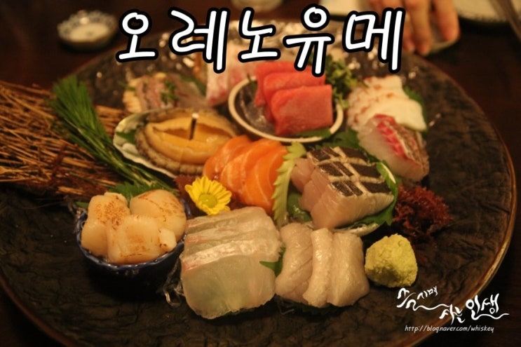  [신사역 맛집] 신사 가로수길 이자카야 오레노 유메