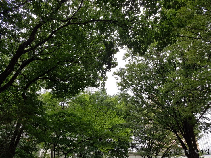  [일본워홀] 51日 알바 2일차