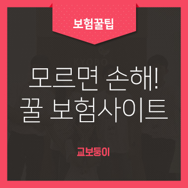  [청춘가곡 7기]모르면 손해! 보험사이트 소개 #5, '한눈에 쉽게' 내보험찾아줌&보험다모아&레몬브릿지•̀.•́