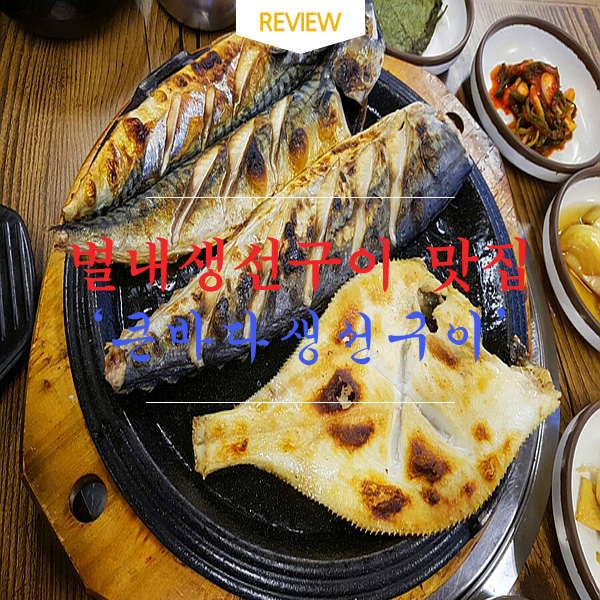 [남양주 별내 생선구이 맛집] 큰바다생선구이 가성비좋은 모듬생선구이 먹었어요!