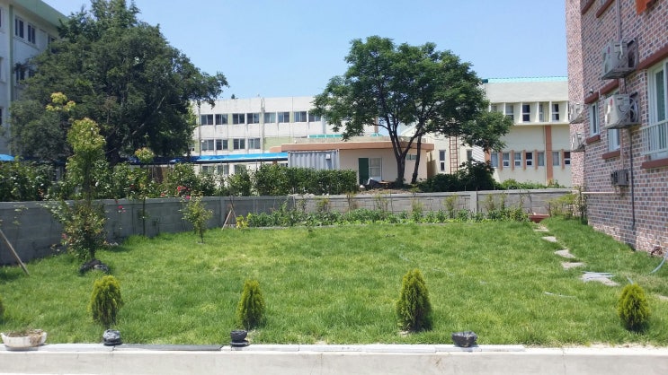  제주조경 잔디식재 한백그린 제주잔디 잔디관리