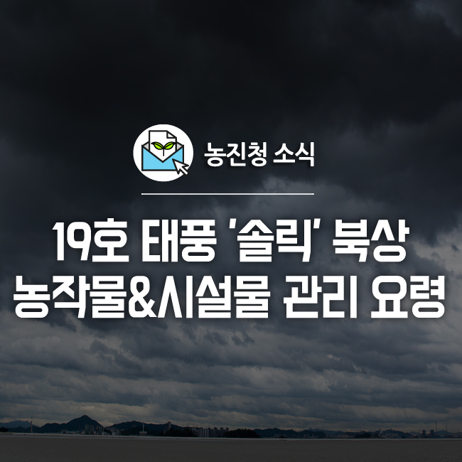  [알립니다!] 19호 태풍 '솔릭' 북상 :: 태풍 전 농작물 관리 요령