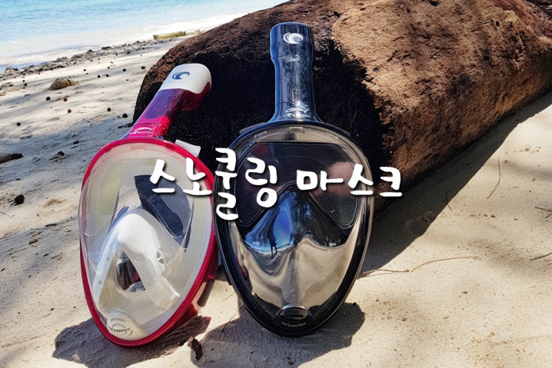 오션테그 스노쿨링 마스크 그리고 정글의 법칙에서도 볼수 있는 스노클링 드라이백