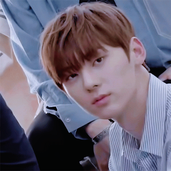 워너원 황민현 스타로드 브이앱 16,18탄 힐링존 비율 좋은 민현이 움짤!
