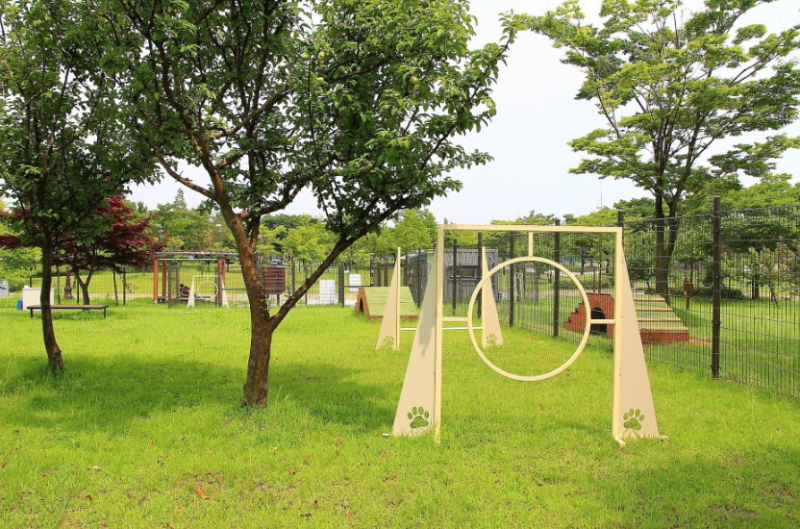 안산 강아지 무료놀이터 / 원포공원 반려견 놀이터 (2023.04.21)