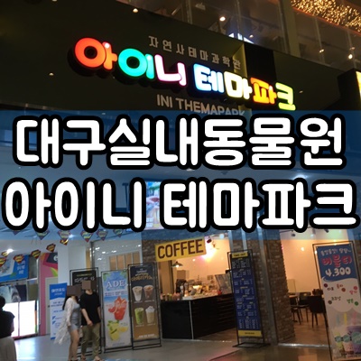  7개월 아기와 대구실내동물원 아이니파크 후기