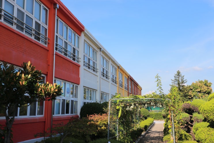 [경남 창녕] 제주 더럭분교를 닮은 창녕 사진 찍기 좋은 곳 '남지초등학교'