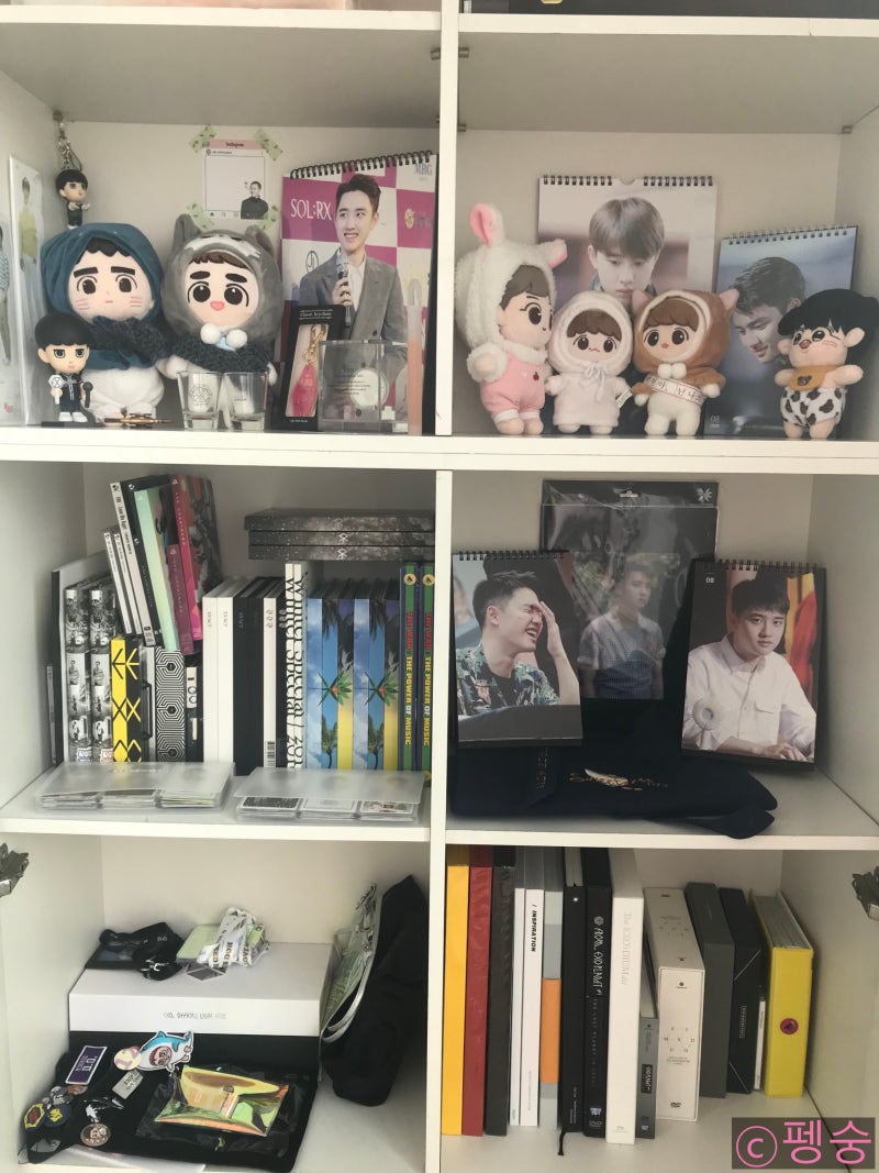 EXO D.O. Doll Dyokongi / Introducing Our Home's EXO Zone!