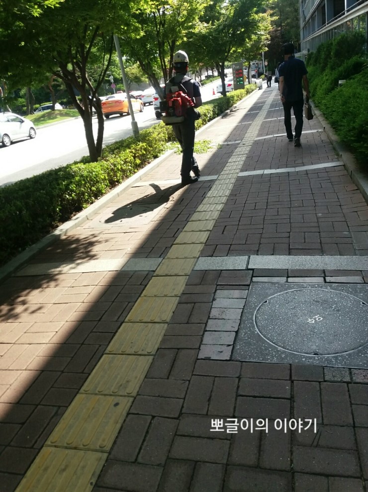  갑상선암 2018.6월 진료