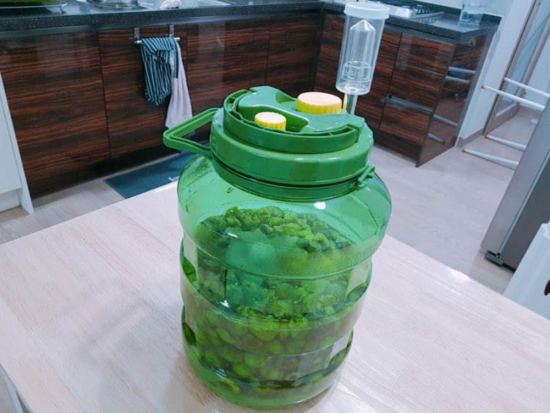 돌배효소 담그는 법 돌배효능 돌배효소 효능 돌배효소 담그기