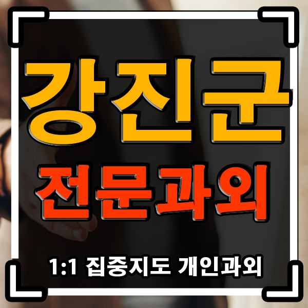  강진 과외 (중등 고등) 영어 국어 전문과외 1:1 개인 수업의 설리반쌤