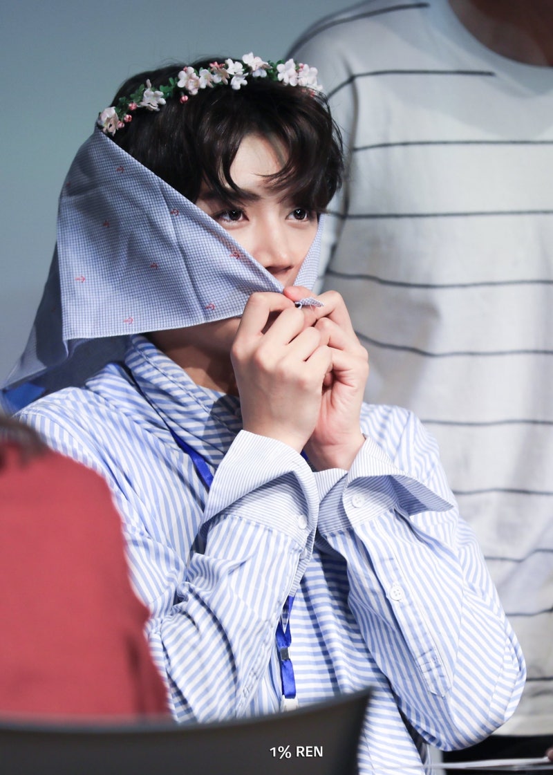 더미모 이미지