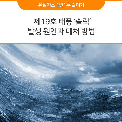  태풍 발생원인, 제19호 태풍 ‘솔릭’ 대처 방법