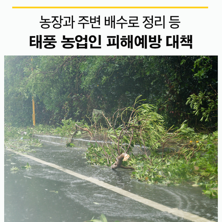 제19호 태풍 솔릭에 대비한 농업인 피해 예방대책