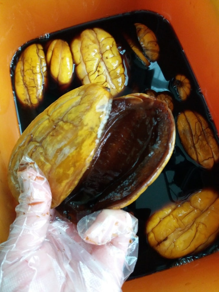  짭쪼름 밥 친구....참외장아찌 만들기