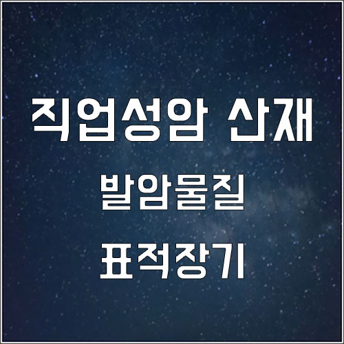  직업성암 및 발암물질 종류와 표적장기 산재