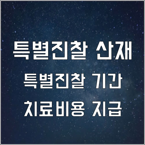  산재결정 전 특별진찰 치료비용 지급