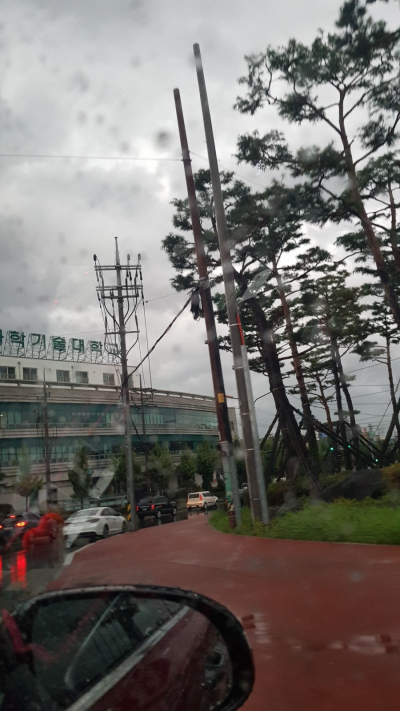 사진 2