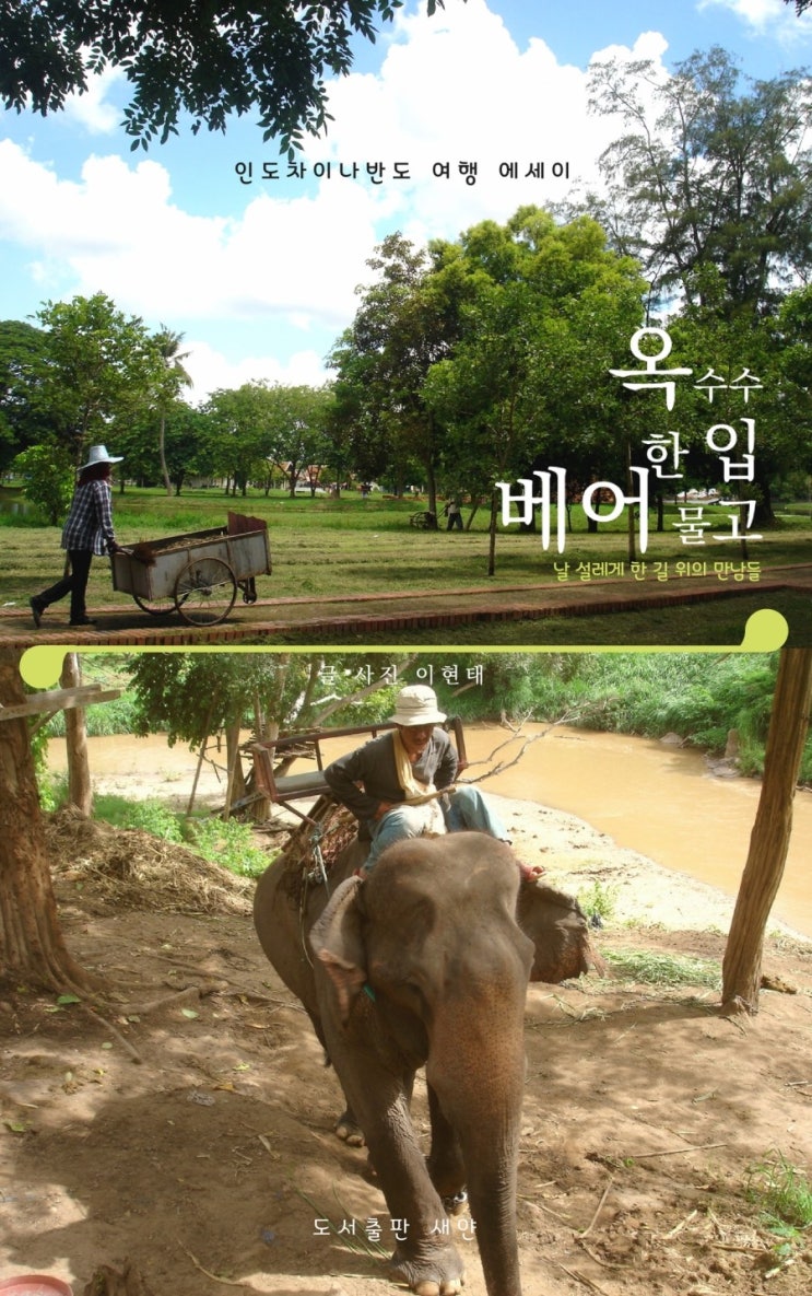  옥수수 한 입 베어 물고
