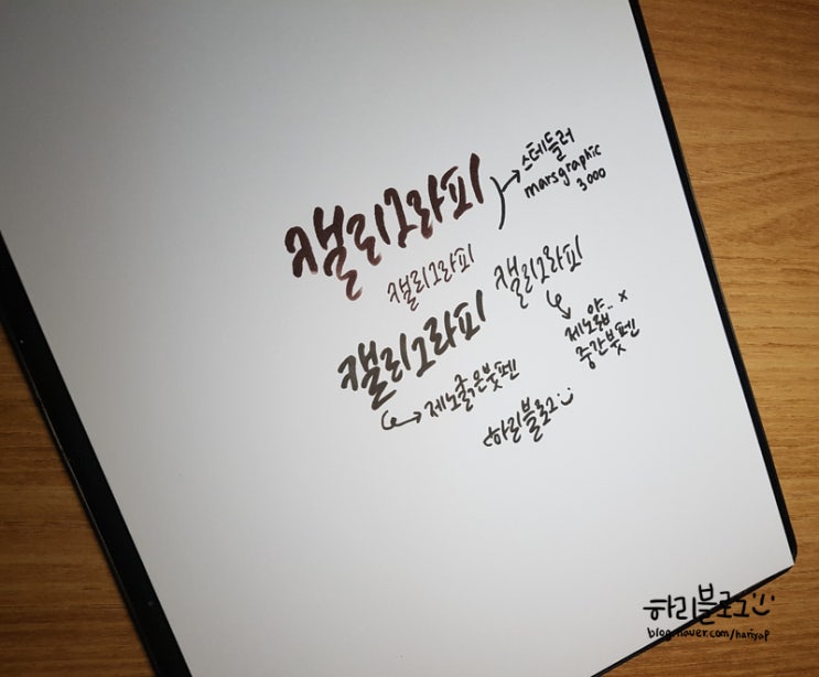  캘리그라피펜  스테들러 marsgraphic 3000, 제노붓펜