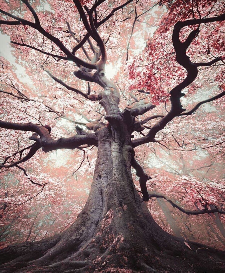 무제