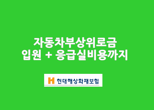  자동차부상위로금 50만원,입원일당,응급실비용까지