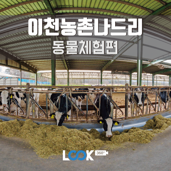 [경기/이천] 이천농촌나드리 즐기기 360 VR 후기 (동물농장체험편)