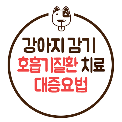  강아지 감기 호흡기 질환 - 한방 대증요법으로 치료하기...