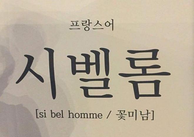 프랑스어로 "꽃미남"은??? 프랑스어로 "꽃미남"은???