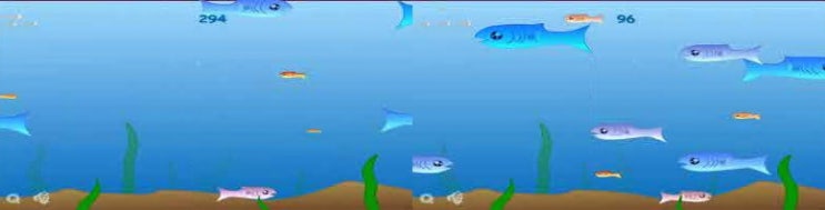  물고기 키우기 게임 !fishy!