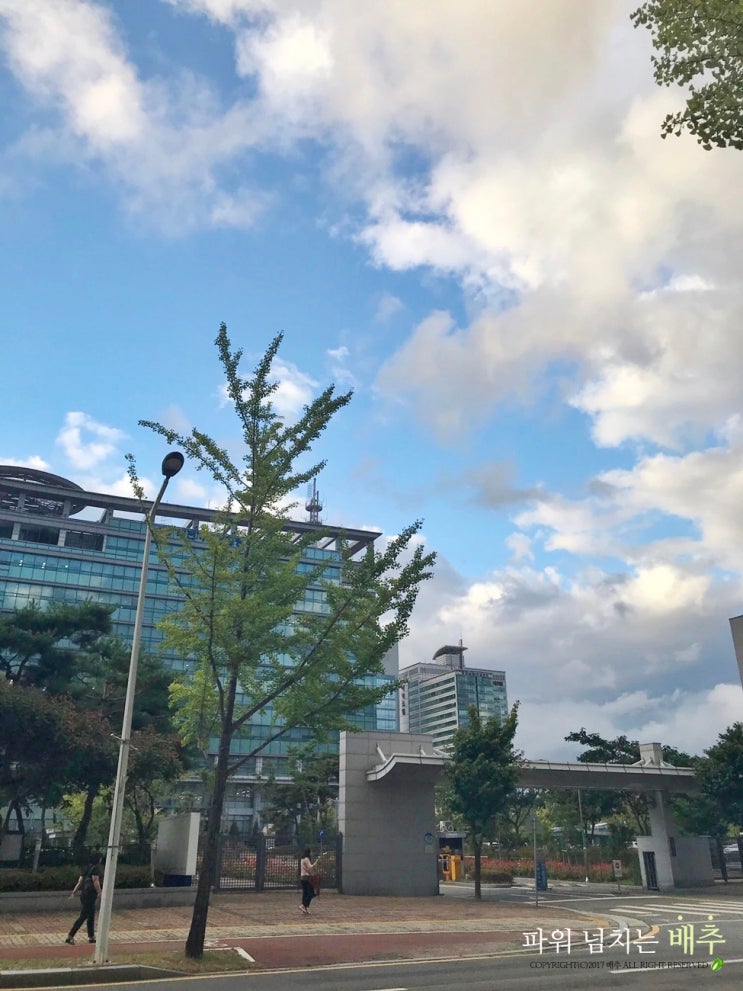  대전 날씨 굉장히 오락가락해요!
