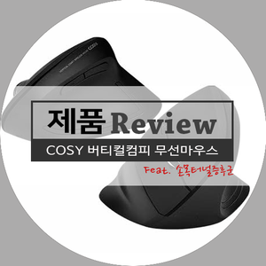  [구입리뷰] 손목터널증후군, 버티컬컴피 무선마우스