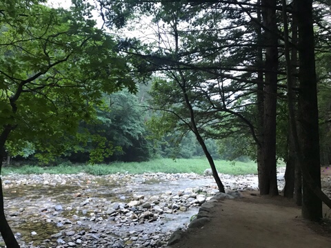  평창-대관령휴게소/스키점프대/월정사/전나무숲길