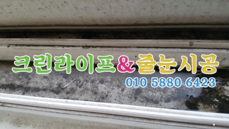  크린라이프&줄눈시공전문업체//김해장유월산부영아파트이사청소[양산청소업체]