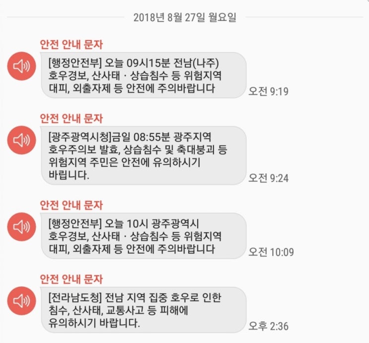  호우경보와 함께 정신없는 하루