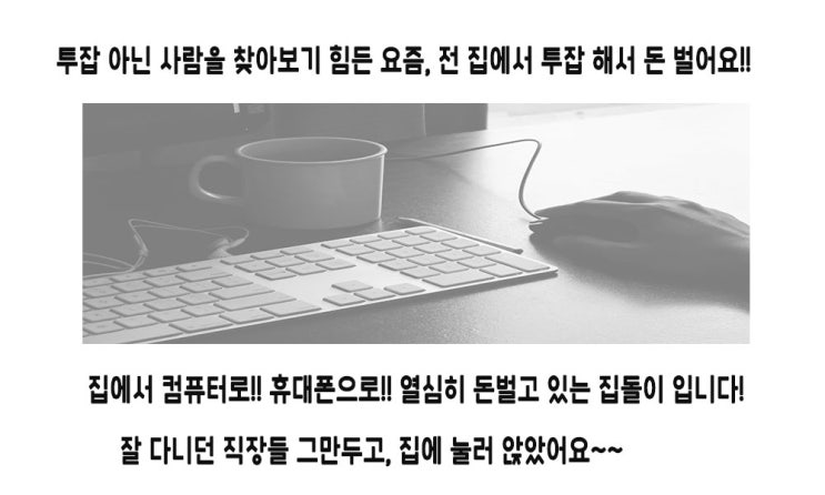  뉴카인드프라이스 블로그포스팅 알바 온라인투잡!!