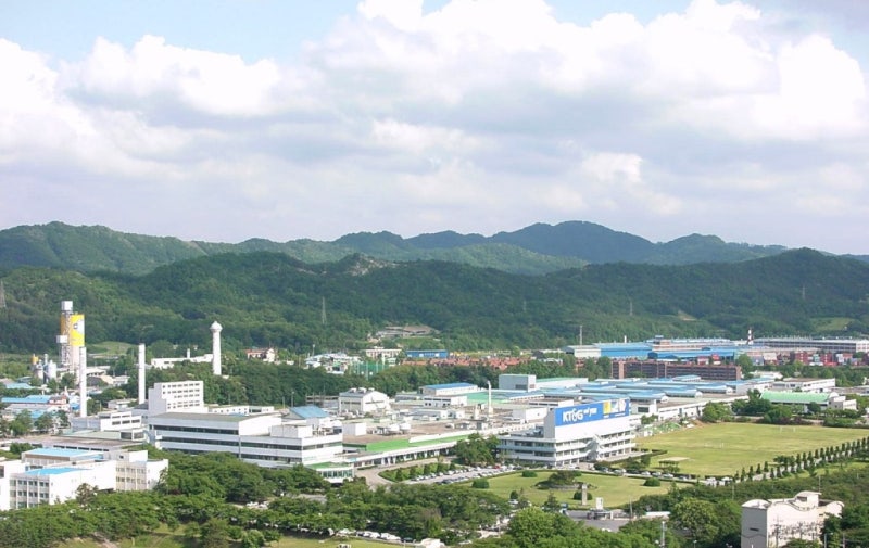 동명인삼 이미지