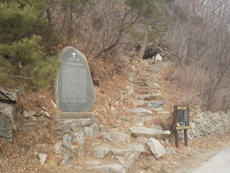 부산교구_죽림굴(대재공소) [9-73]