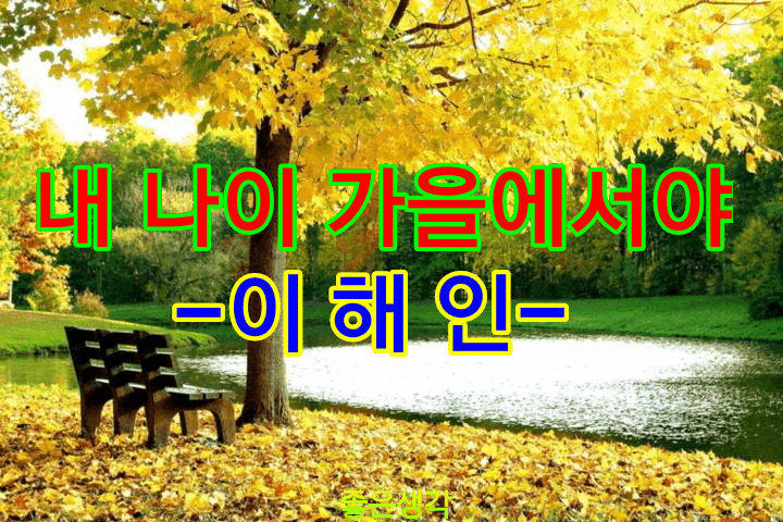  내 나이 가을에서야-이해인