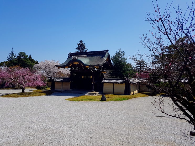 걸어서 교토 여행 아라시야마 다이카쿠지(大覚寺)