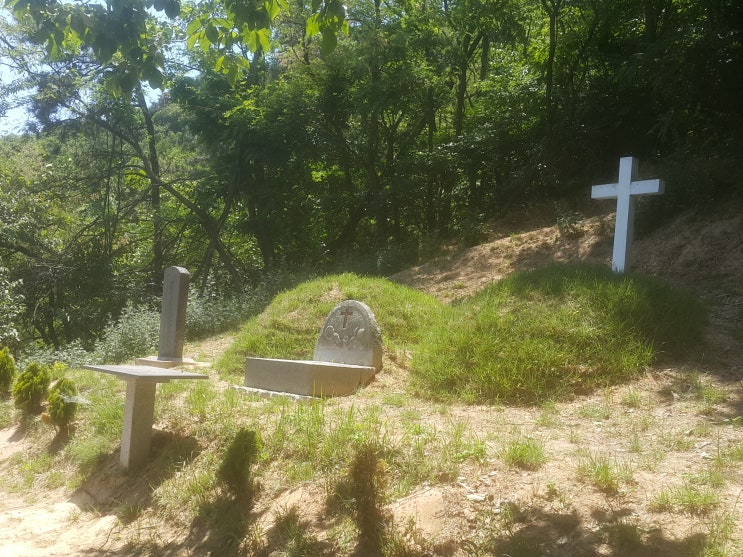  마산교구_복자 박대식 묘 [11-80]