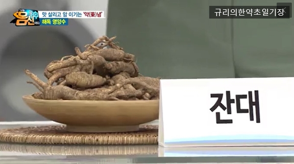  몸에독소빼는법 잔대 효능 딱주 제니