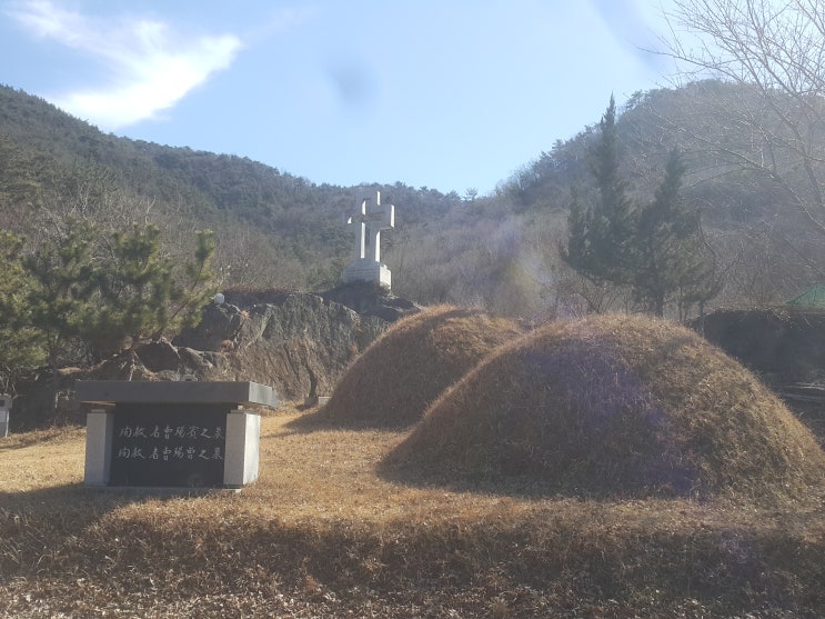  부산교구_형제 순교자묘 [9-74]