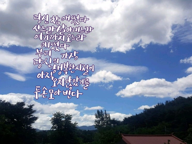  당신 참 애썼다/ 정희재