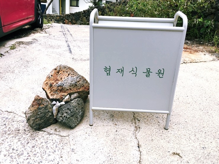  제주도 협재식물원 카페  아직까진 숨은 카페
