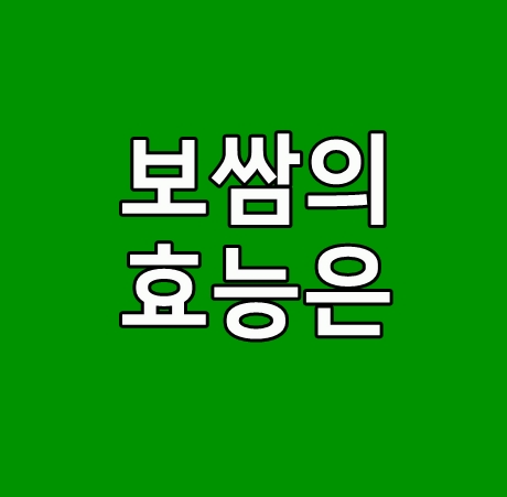 다이어트일기 40일차 보쌈의효능정말 좋네요.