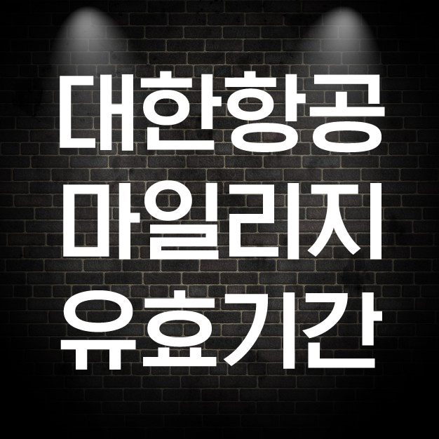  대한항공 마일리지 유효기간 사용방법