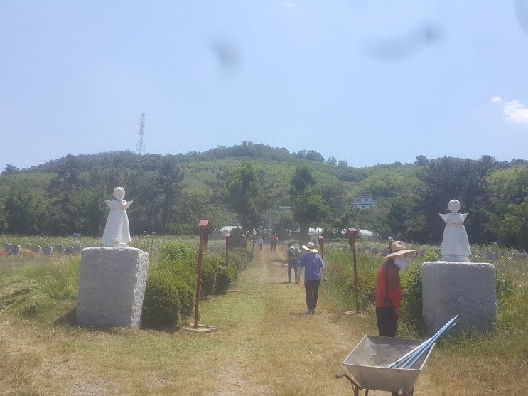  마산교구_복자 신석복 묘 [11-81]