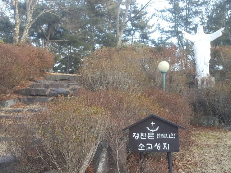  마산교구_복자 정찬문 묘 [11-83]