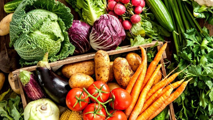 [행동경제학 사례 40] 덴마크, 식품 재배치 넛지로 건강 식품 소비 유도하기